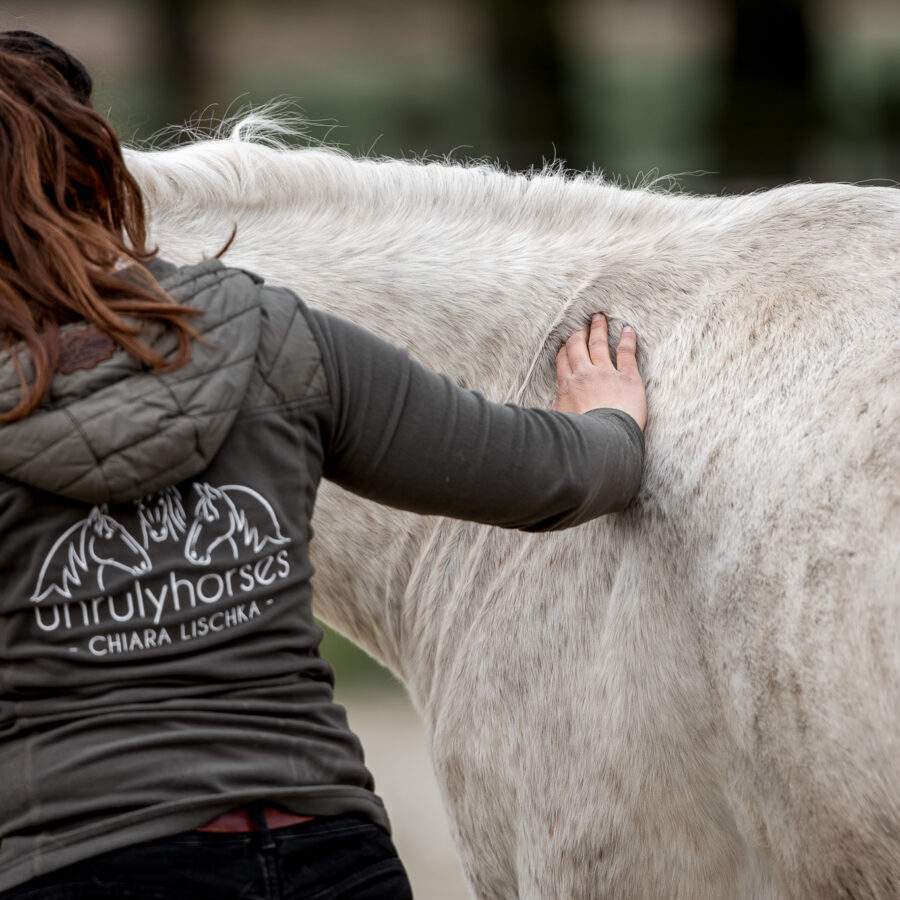 11.04.26 - Einstieg ins Tensegrale Training mit Wiebke Völker