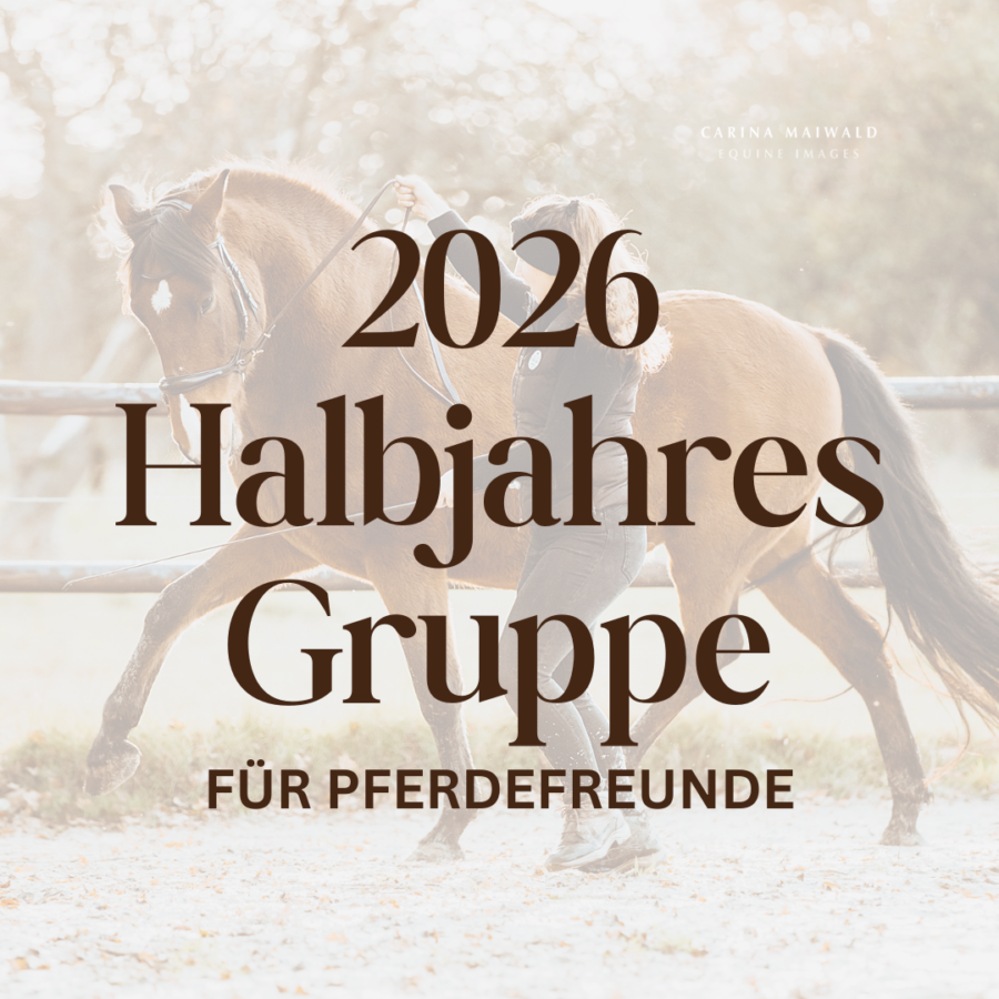 Halbjahresgruppe für Pferdefreunde