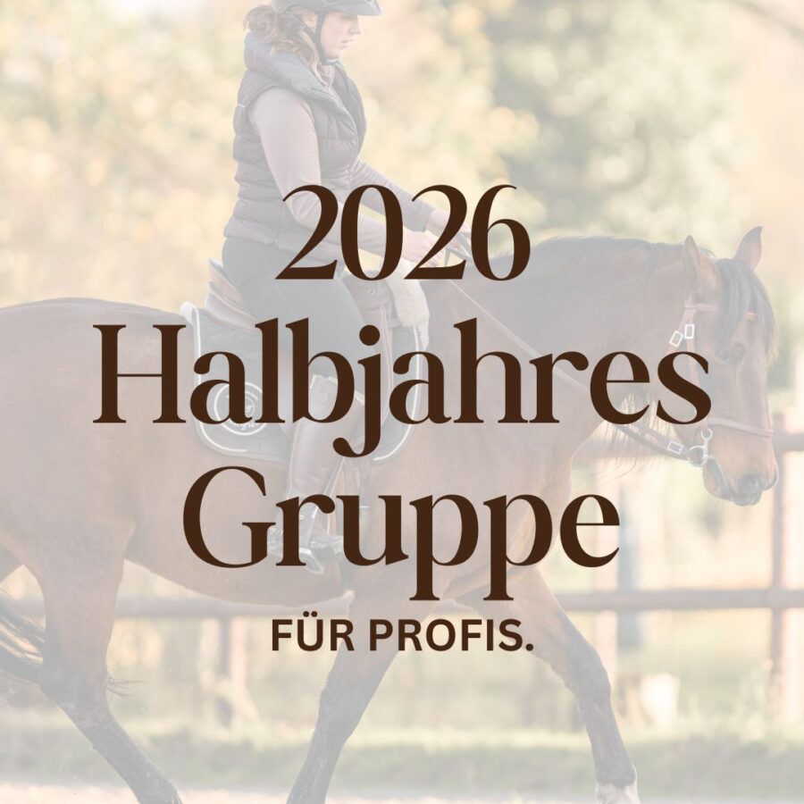 Halbjahresgruppe für Pferdeprofis