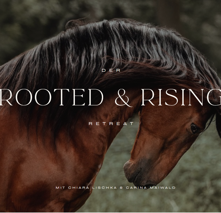 Rooted & Rising Retreat - 25./26. Juli 2026