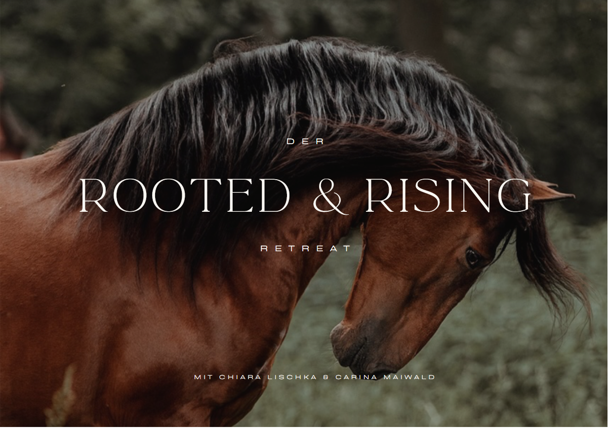 Rooted & Rising Retreat - 25./26. Juli 2026
