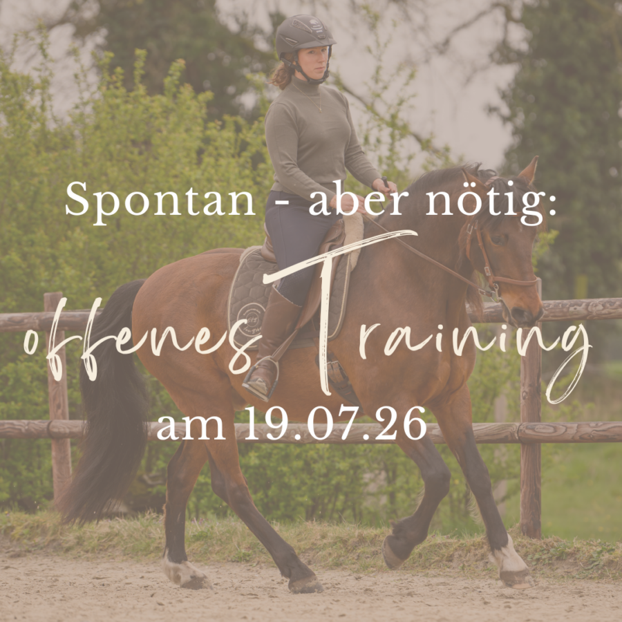 Offenes Training auf Gut Lüttinghof - 19.07.26