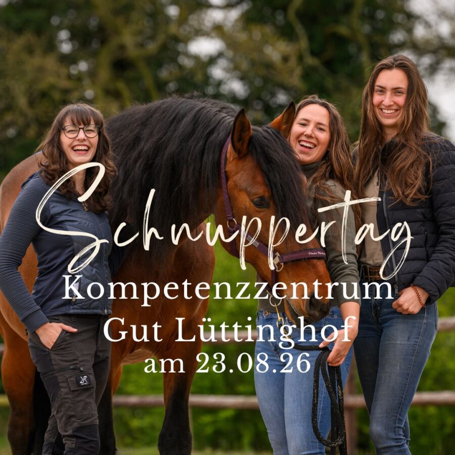 Schnuppertag - Kompetenzzentrum Gut Lüttinghof stellt sich vor 23.08.26