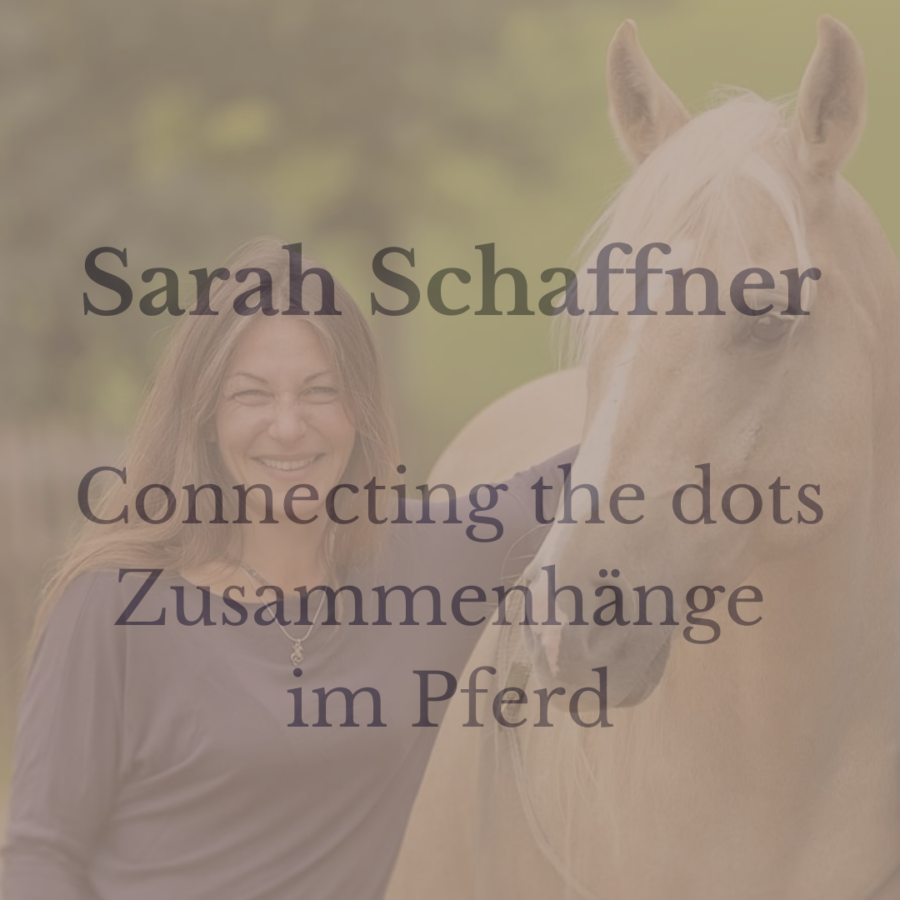 Sarah Schaffner - Connecting the dots – Zusammenhänge im Pferd - 06./07.03.2027