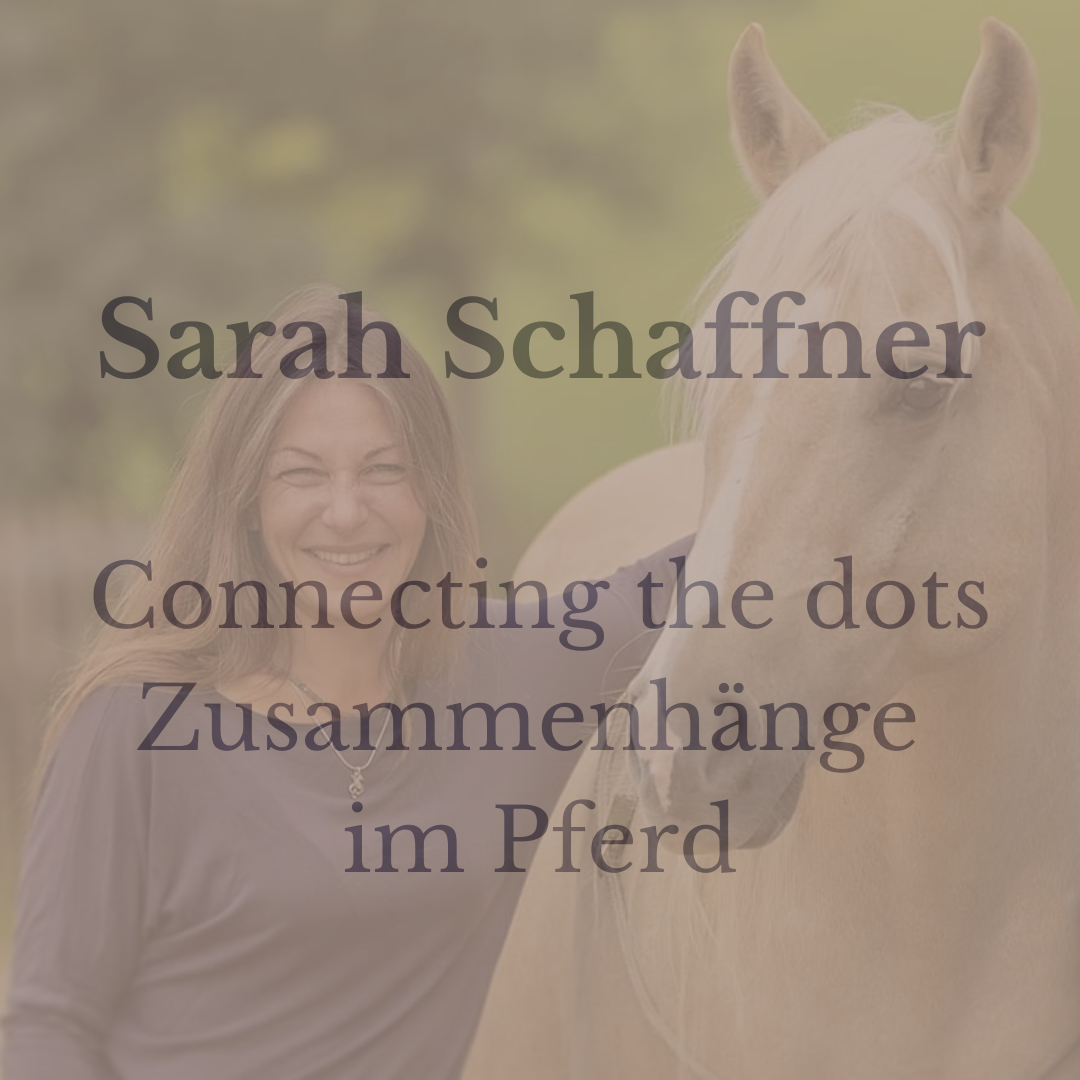 Sarah Schaffner - Connecting the dots – Zusammenhänge im Pferd - 06./07.03.2027